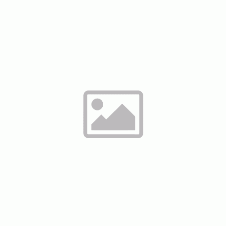MATISSE 7,0×17 ET45 5×114 CB73,1 SILVER